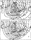 21002.gif (13748 bytes)